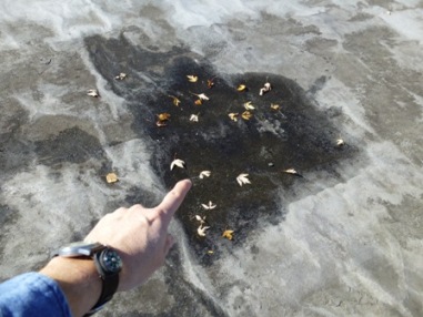 St. Clair shores commercial inspections astm standard pca